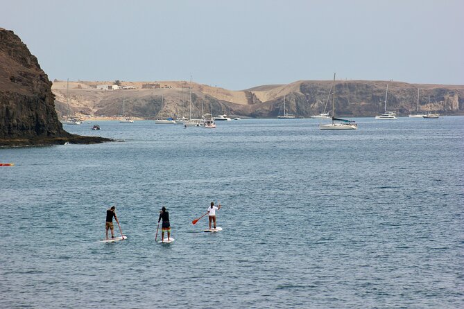 Stand Up Paddle Boarding Lesson in Playa Flamingo - Reviews and Feedback