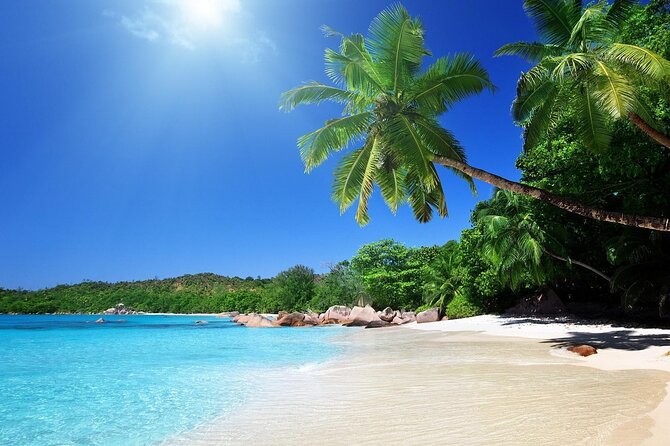 Stingray City Sandbar, Coral Gardens and 7-Mile Beach Tour - Coral Gardens