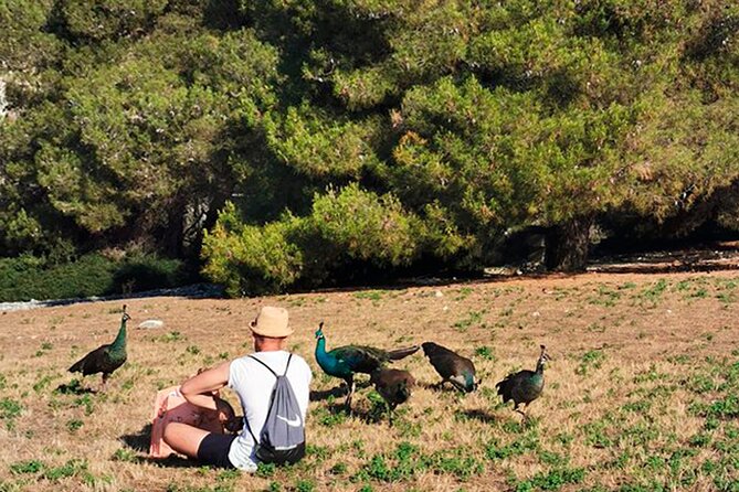 Stop on Island & National Park Day Cruise With Lunch Drinks - Meeting Point and Start Time