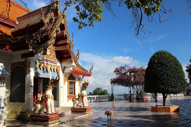 Sunrise Blessing Experience at Doi Suthep With Small Group - Meeting Point Information