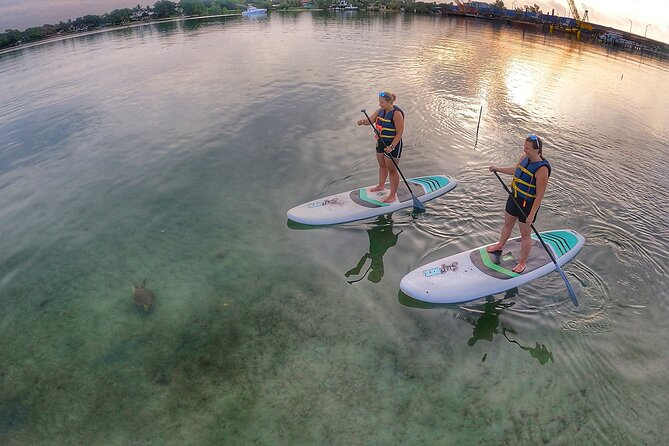 Sunrise Paddle Boarding Adventure in Jupiter - Fitness Level Requirements