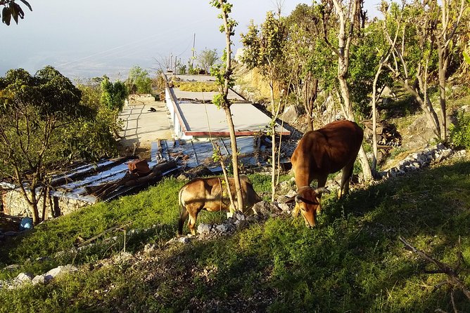 Sunrise View Trek in Rishikesh - Participant Guidelines