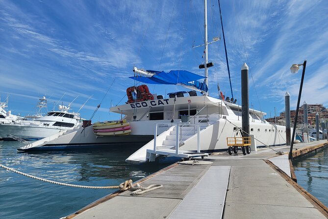 Sunset Cruise Sailing Catamaran in San Lucas - Accessibility and Transportation