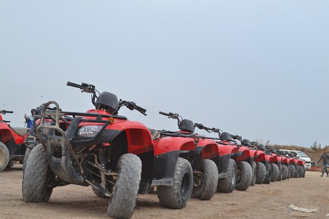 Super ATV Quad Bike Safari & Camel Ride With Transfer - Hurghada - Accessibility and Group Size
