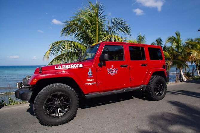 Super Cozumel Combo Snorkel by Boat and Jeep Exploration (Private) - Important Information
