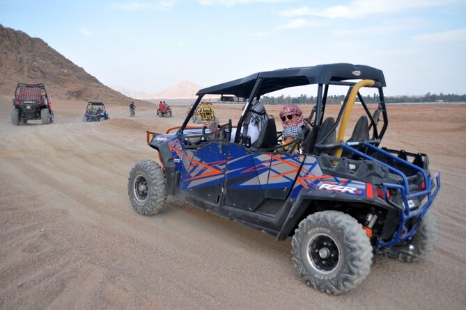 Super Safari in Sinai Desert Bedouin Dinner, Camel & Show - Traveler Requirements