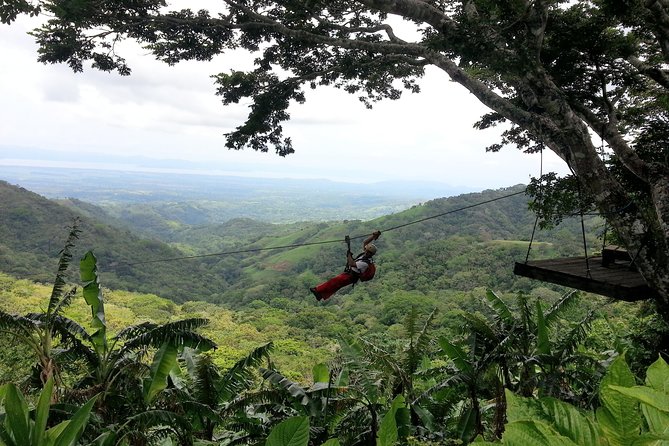 Superman Zipline Course - Visitor Reviews and Testimonials
