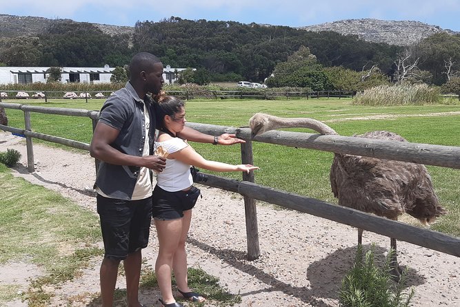 Table Mountain and Cape of Goodhope - Pickup and Accessibility