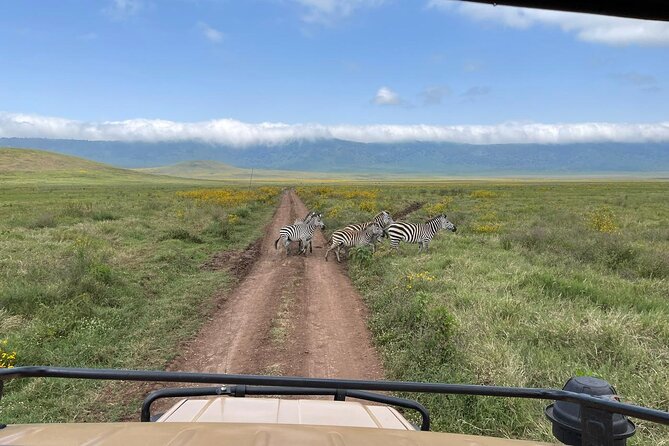 Tarangire & Ngorongoro Crater Group Safari (2 Days) - Transportation and Logistics