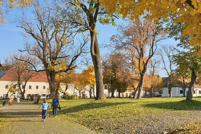 Targu Mures 3 Hours Walking Tour - Uncover Fascinating Local Stories
