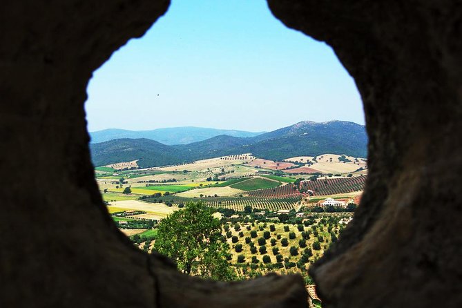 Tarots Garden And Capalbio Tour - Tour Booking and Group Size