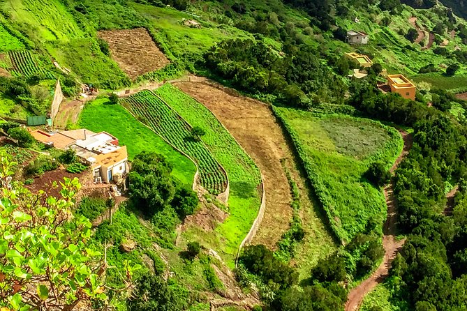 Tenerife: Anaga, San Cristobal Small-Group Full-Day Tour - Booking Flexibility and Policies