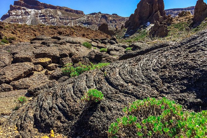 Tenerife South Private Tour: Secrets of the Volcanoes - Confirmation and Personal Restrictions