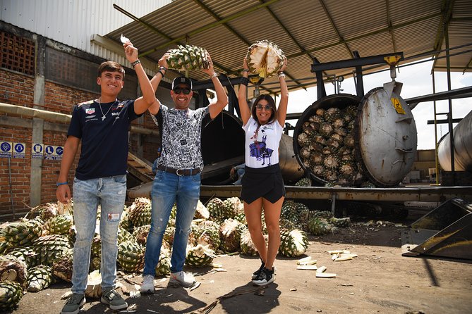 Tequila Route Experience From Guadalajara - Acclaimed Tour Guides