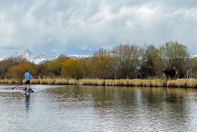 Teton River Paddleboard Adventure - 4.5 Miles - Sum Up