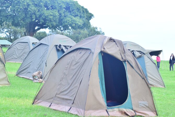 The Best and Most Affordable 4-Day Tanzania Budget Private Safari - Accessibility and Participation