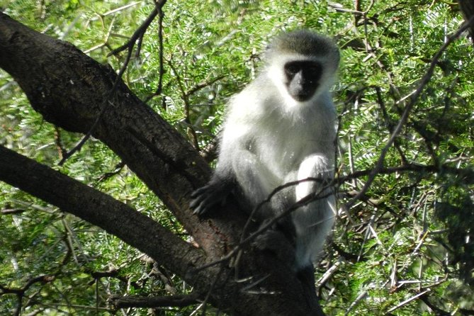 The Garden Route From Port Elizabeth to the Crags - FD07 - Pricing and Cancellation