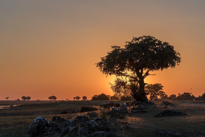 The Mosi Oa Tunya National Park Game Drive - Pricing and Booking Information