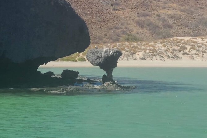 The Most Affordable Luxury Yacht in La Paz-Balandra/Isla Espiritu - Customer Reviews and Highlights