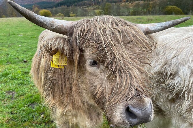 The Secret Isle Of Skye Tour - Cawdor Castle Experience