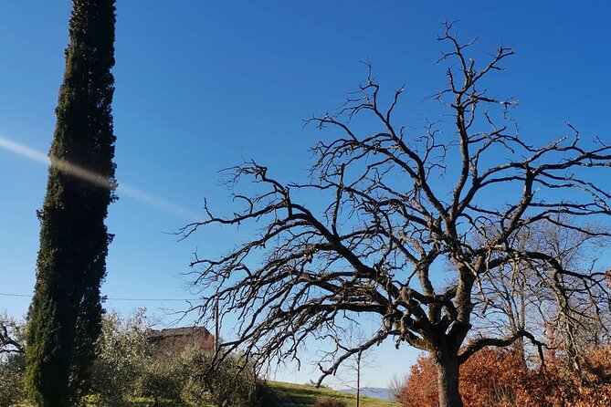 The Spell of Lake Trasimeno - Trekking Tour - Exploring the Lakeside Frazioni