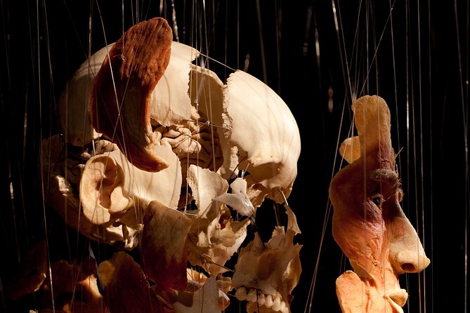 Ticket Expo Body Worlds Review: A Fascinating Experience - Educational Insights