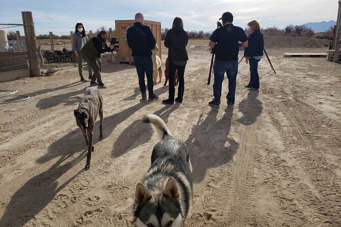 Tickets to Nature Health Farms Petting Zoo, Antique Store & Hemp Farm in Pahrump - Accessibility and Participation