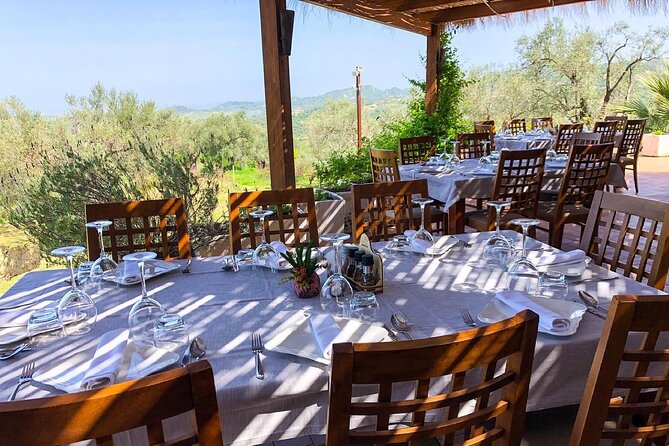 Tirana: Wine Tasting & Vineyards Escape - Discover Albanias Finest Wineries