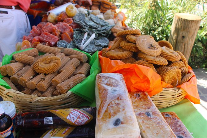 Todos Santos Is the Coolest and Most Magical Town in Southern Baja! - Insights From Knowledgeable Todos Santos Guides