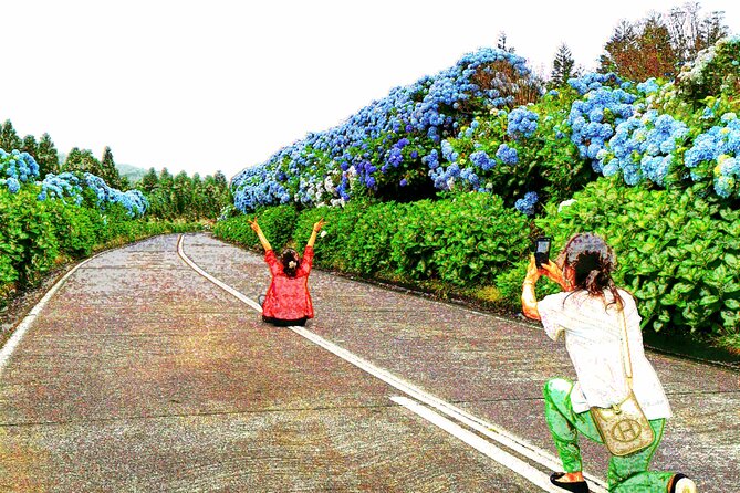 Totally Personalized Private Tour to Sete Cidades and Lagoa Do Fogo (West) - Traveler Photos