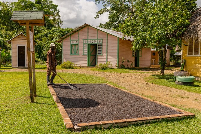 Tour in La Hacienda With Sports Activities and Buffet - Dining and Cuisine