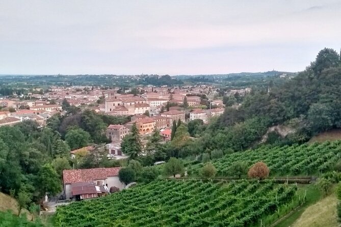 Tour in the Prosecco Hills Tour From Padua - Winery Visit Experiences