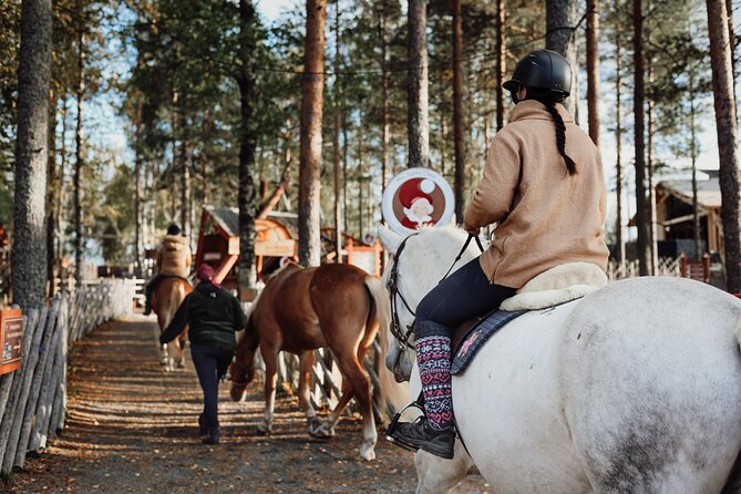 Tour to Aurora Horses Farm Review - Since You Asked