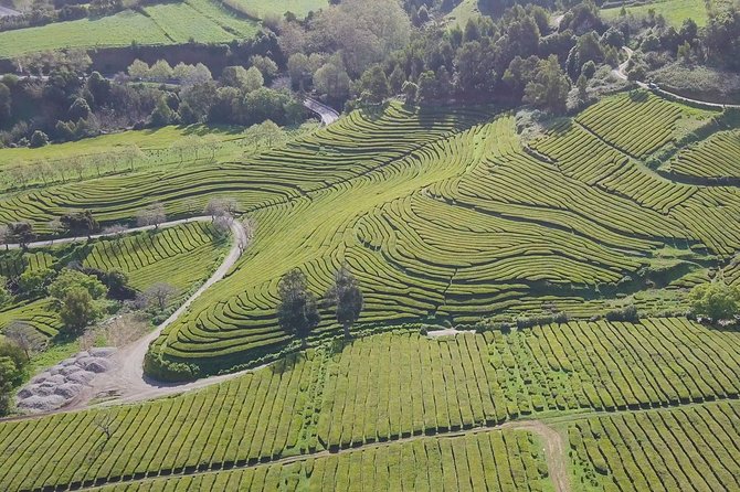 Tour to Furnas and Terra Nostra Garden - Full Day - Traveler Feedback and Ratings