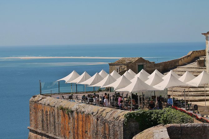 Traditional Fisherman's Food Experience, Private Tour - Positive Feedback Highlights