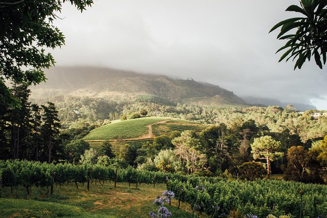 Traditional Wine & Braai (BBQ) Experience - Meeting and Drop-off Locations