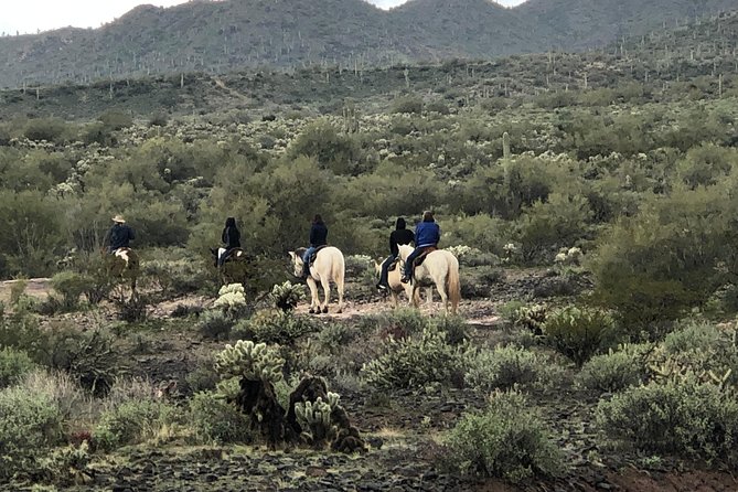 Trail Riding for the Individual or Group. Best Trail Rides Anywhere in Arizona. - Customer Reviews and Feedback