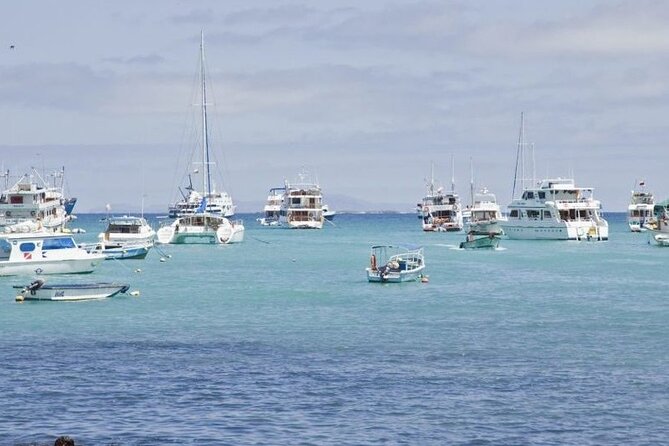 Transfer From Santa Cruz Island to San Cristobal Island - Group Size