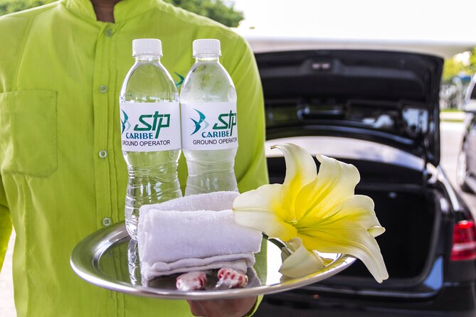 Transfer in Luxury Mercedes Benz Minivan - Drop-off and Booking