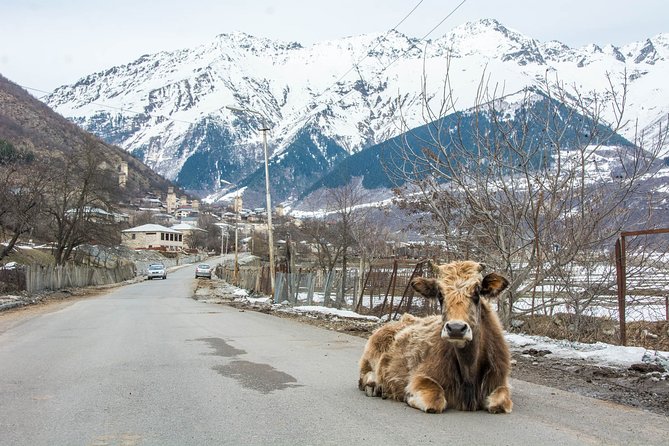 Transfer to Mestia Svaneti - Accessibility and Suitability