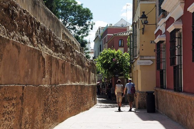 Travel From Cadiz to Seville and Visit Its Monuments. - Accessibility and Traveler Accommodations