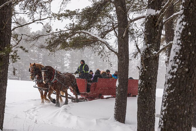 Tremblant Sleighride - Preparing for the Ride