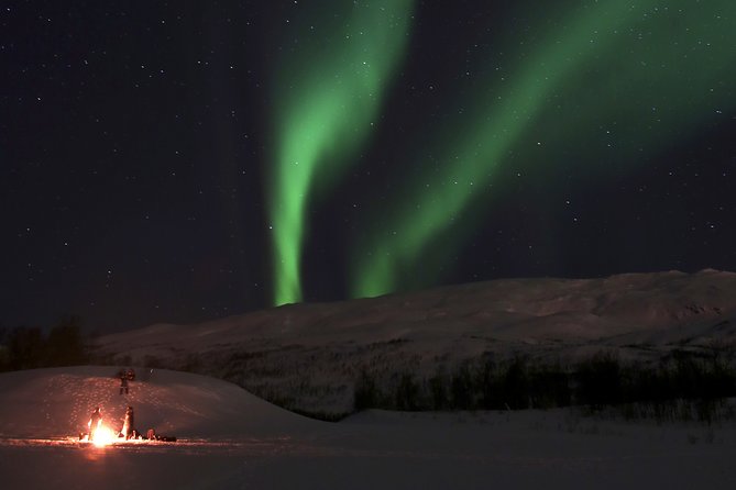 Tromsø Saami Culture and Reindeer-Feeding Experience  - Tromso - Unique Tour Activities and Experiences