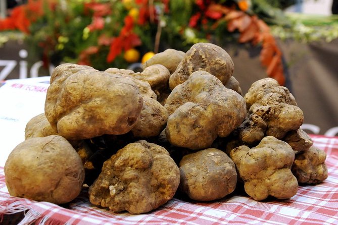 Truffle Hunting With Tasting Included - Umbria, Italy - Experience Details and Inclusions