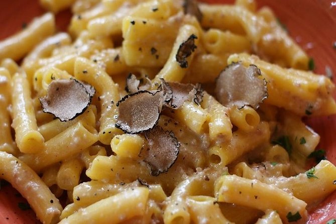Truffle Hunting With Wine Tasting in Chianti - Transportation and Logistical Details