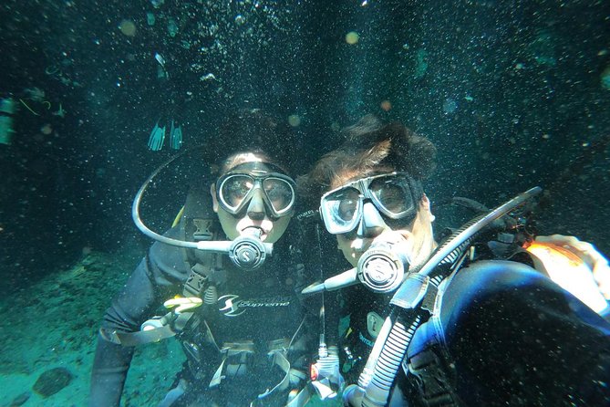 Tulum Cenote Diving. the Real Mayan Underworld - Pricing and Reviews