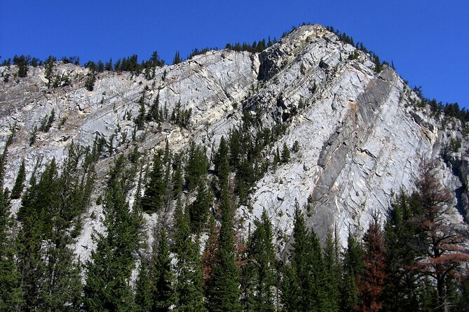 Tunnel Mountain Trail: a Smartphone Audio Nature Tour - Exploring Tunnel Mountain Trail