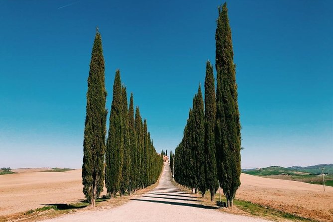 Tuscany Tour: Montepulciano, Pienza & Montalcino - Tour Highlights: Montalcino