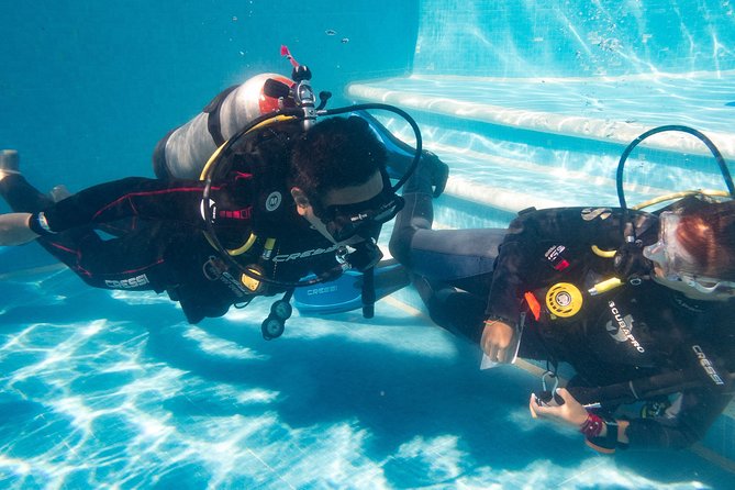 Two Reef Discovery Dives With Professional Instructor (No Experience Necessary) - Dive Centers Reputation