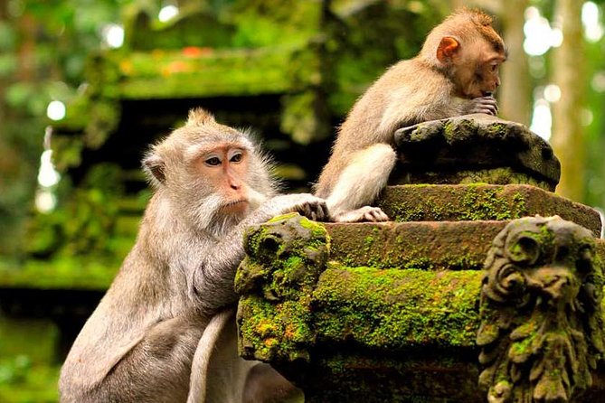 Ubud Wondrous Tour - Booking Process and Payment Options